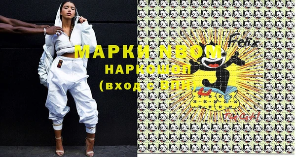 индика Киреевск