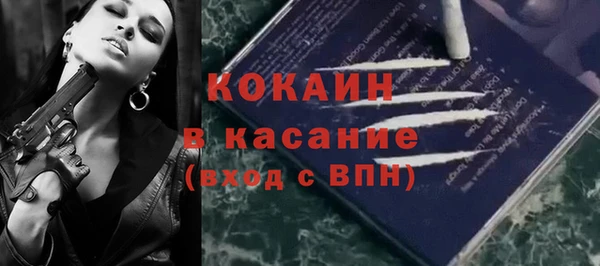 хмурый Алзамай
