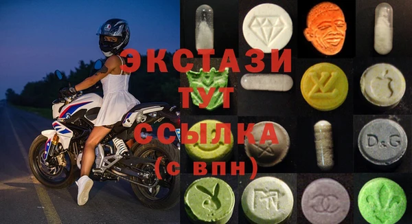 индика Киреевск