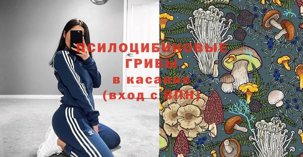 хмурый Алзамай