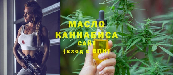 индика Киреевск